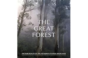 The Great Forest: The rare beauty of the Victorian Central Highlands