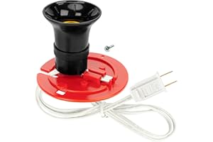 GENERAL FOAM PLASTICS General Foam MB48 Replacement Medium Base Light Cord for Blow Mold Plastics for Halloween and Christmas