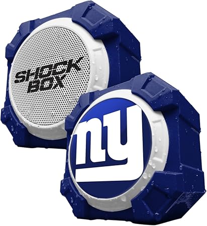 shox mini speaker price