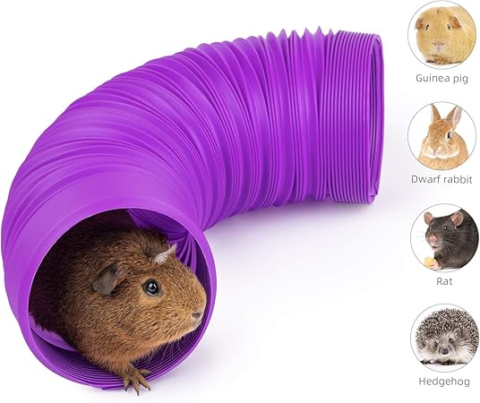 pvc pipe for guinea pigs