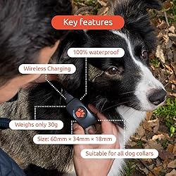 PitPat Dog GPS Tracker - No Subscription Required