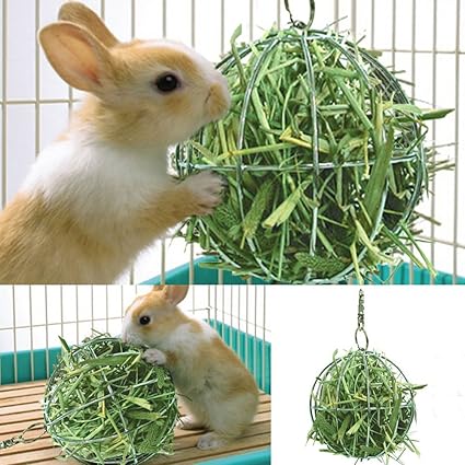 science diet cat food price