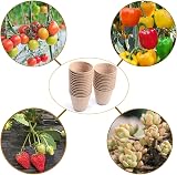 Cymax 100pk 8cm Round Biodegradable Fibre Seedling Pots & 100 Plant Labels view 6