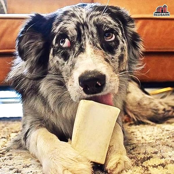 REDBARN PET PRODUCTS LARGE FILLED DOG BONES, CHEESE & BACON FLAVOR – LONG LASTING STUFFED FEMUR CHEW TREAT MADE IN USA – 4 COUNT – PACKAGING MAY VARY