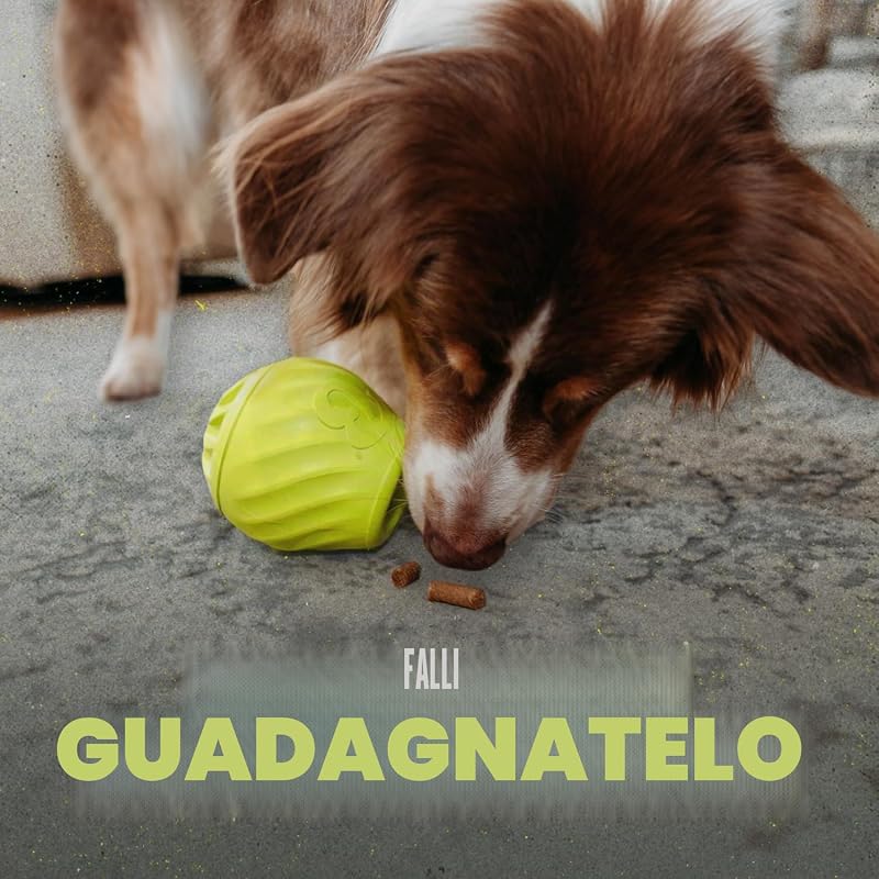 Pawbler Gioco interattivo per cani, distributore, M/L