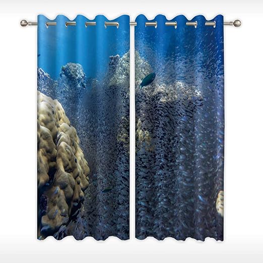 Amazon Com Moocom Shoal Of Glass Fish Aka Pygmy Sweeper