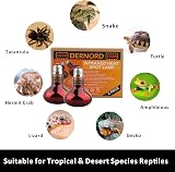 DERNORD 150W Infrared Reptile Heat Lamp Red Basking Spot E27 220-240V view 6