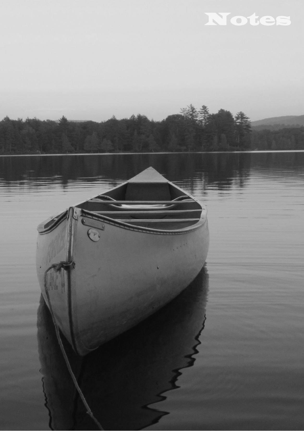 Notes: Notebook, lined, 108 pages