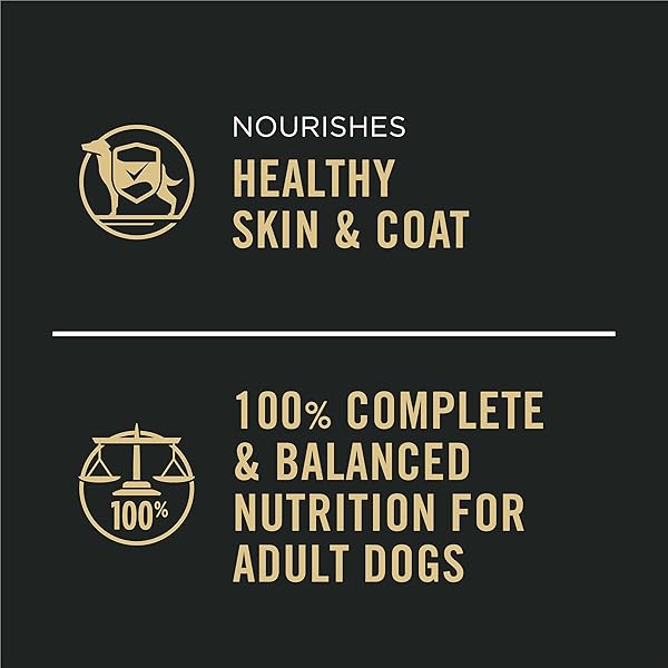 PURINA PRO PLAN COMPLETE ESSENTIALS WET DOG FOOD CHICKEN AND RICE ENTREE AND BEEF AND RICE ENTREE VARIETY PACK – (PACK OF 12) 13 OZ. CANS