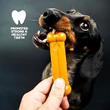 TastyBone Roast Chicken & Thyme Nylon Dog Chew Toy - Indestructible view 4
