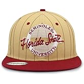 The Game NCAA Licensed Florida State Seminoles Flat Brim Snapback Hat, Florida State University Game Day Hat