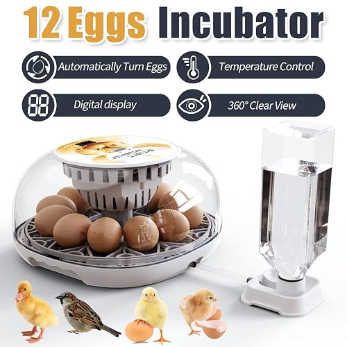 Egg Hatching Incubator 12 Egg Automatic Incubator For Hatching ...