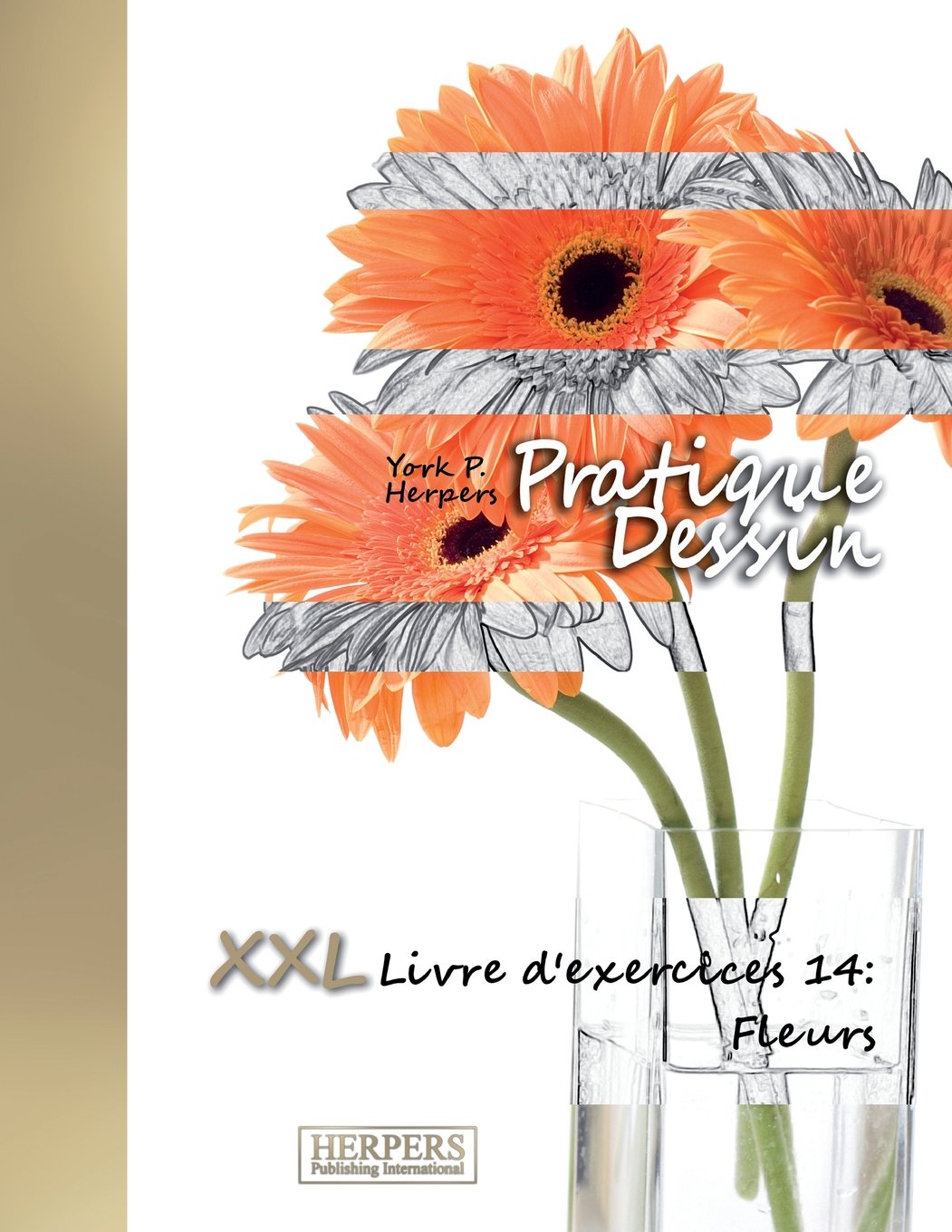 Pratique Dessin Xxl Livre Dexercices 14 Fleurs Volume