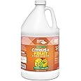 Bloom City's Organic Citrus & Fruit Fertilizer for Fruit Trees - Citrus Tree Fertilizer for Potted Trees - Perfect Lemon Tree Fertilizer, Gallon (128 oz)
