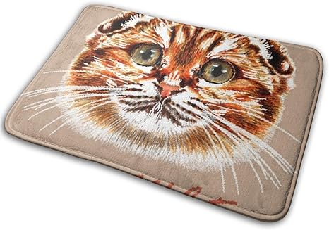 Amazon バスマット 玄関マット ネコ スコティッシュフォールド オレンジ色 手描き 猫柄 お風呂マット 瞬間吸水 速乾 清潔 滑り止め 洗面所 キッチン 玄関マット オンライン通販