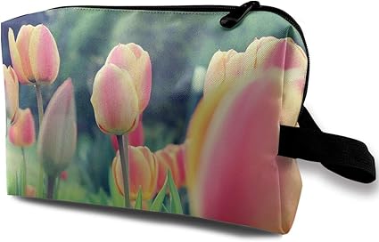 Amazon.com: Travel Makeup Cosmetic Bag Brush Pouch Light ...