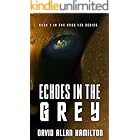 Echoes In The Grey: Book 2 in the Ross 128 Action Science Fiction Series