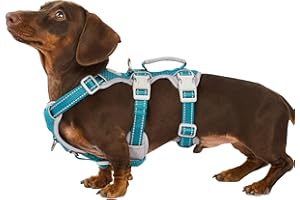 Huntboo Escape Proof Dog Harness, Escape Artist Harness, Fully Reflective Harness with Padded Handle, Breathable, Durable, Ad