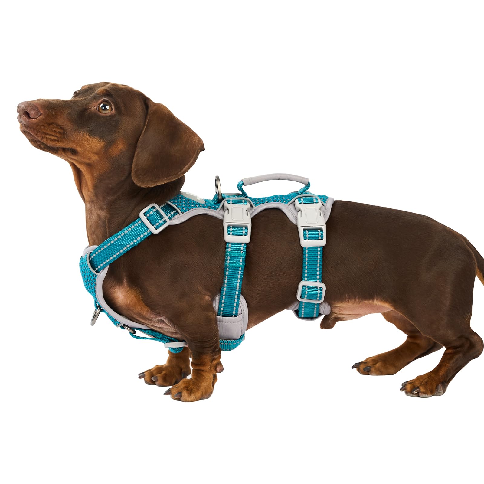 Huntboo Escape Proof Dog Harness, No Pull Reflective Harness with Lift Handle, Adjustable Pet Vest with Front and Back Leash Clips for Small Medium Large Dogs Walking Hiking Training (Teal,XL)