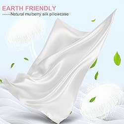 Mulberry Silk Pillow Cases 2 Pack Standard Size