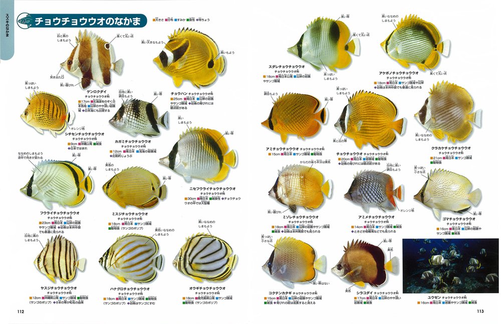 魚 ニューワイド学研の図鑑 宗雄 沖山 本 通販 Amazon