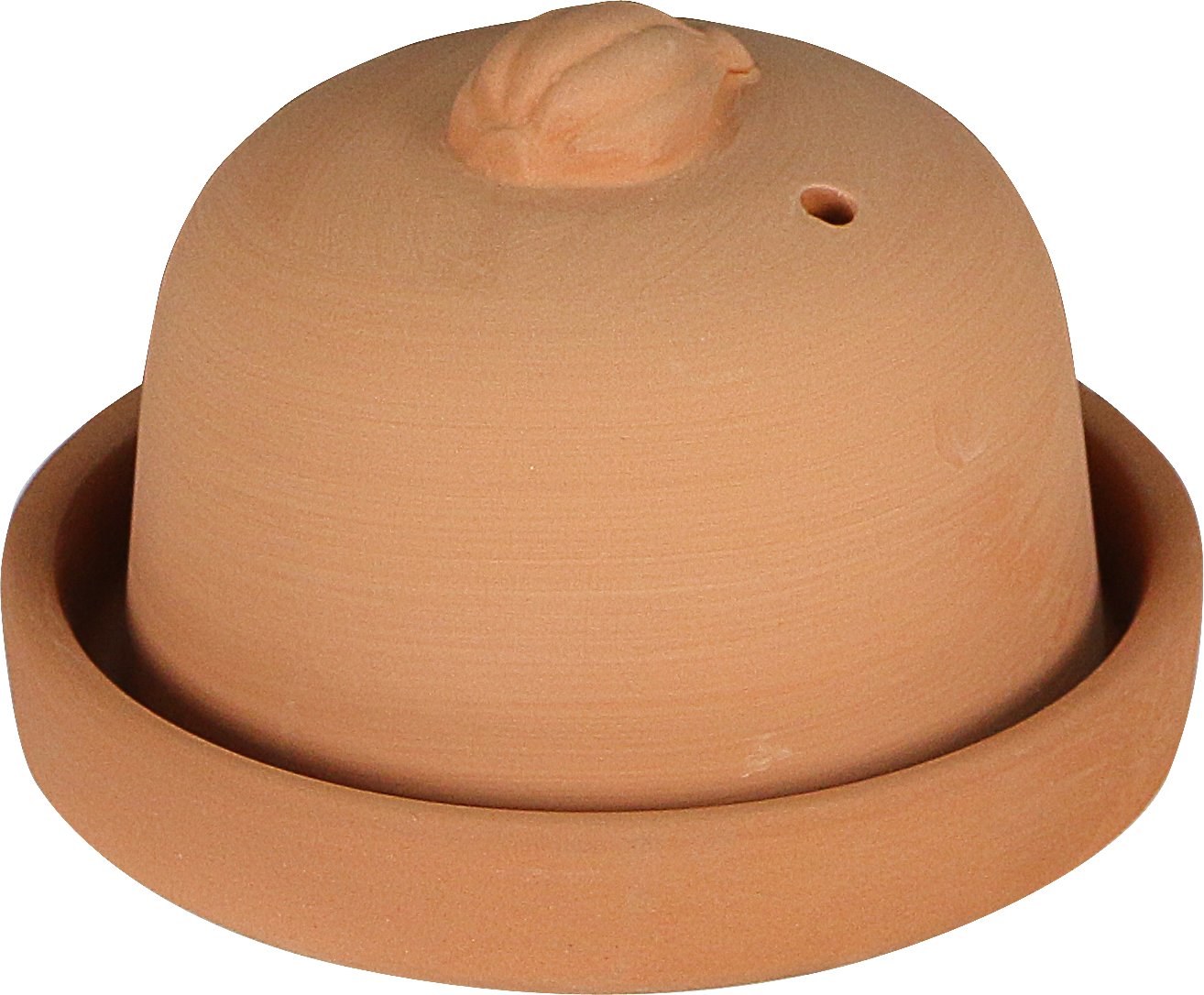 Eurita by Reston Lloyd Terra Cotta Garlic Roaster, Natural 36588991027