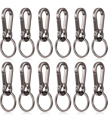 Amazon.com: Amaxiu Heavy Duty Carabiner Keychain, Zinc Alloy