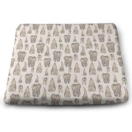 Amazon Com Niyoung Seat Cushion Lumbar Support Cushion Back