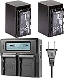 BM Premium 2 VW-VBD58 Batteries and Dual Channel