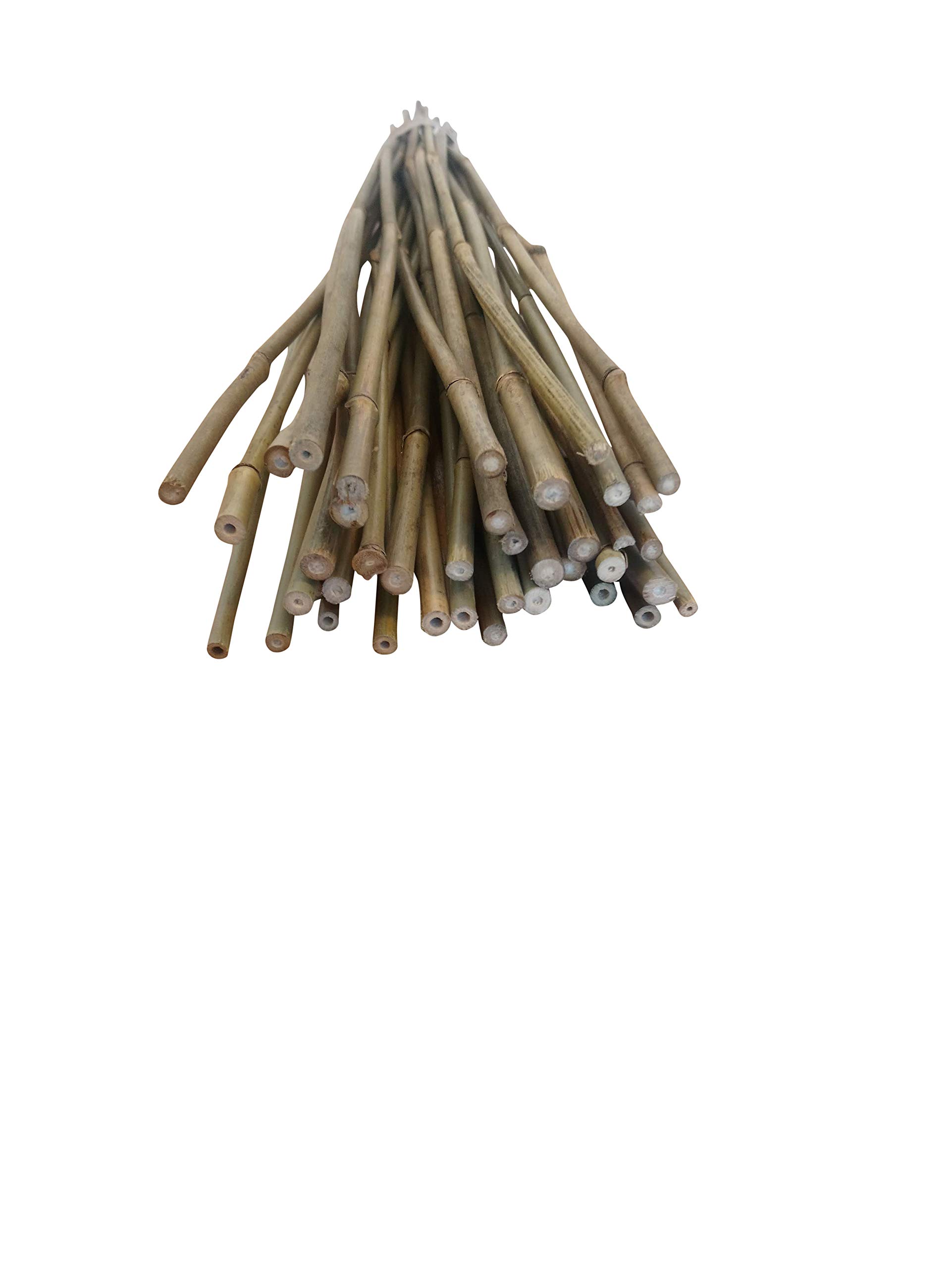 Bamboo Sticks 3FT (90cm) - 40pcs Bamboo stakes - Garden canes - runner bean canes bamboo canes
