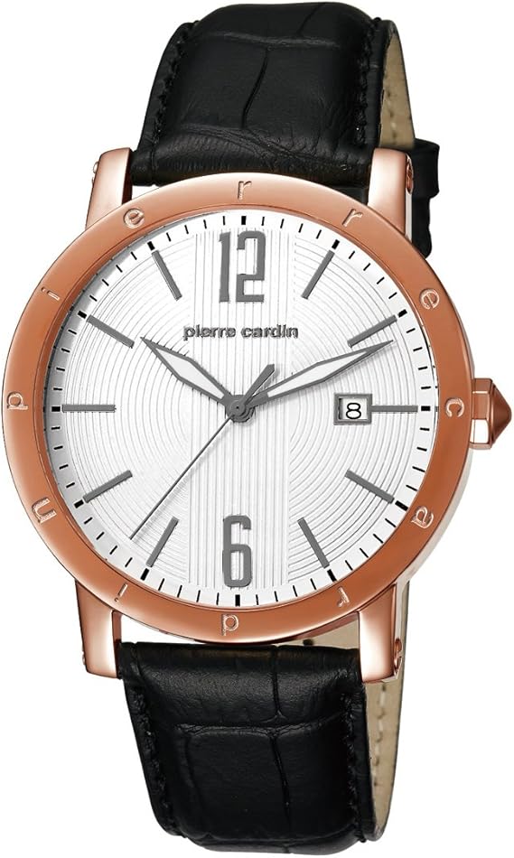 Pierre Cardin PC105451F09 Montre Homme Acier Inoxydable Bronze Acier Inoxydable Cuir