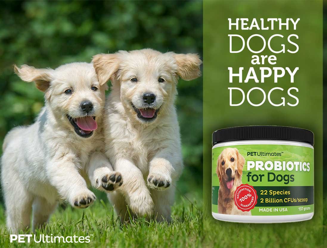 Pet Ultimates Probiotics for Dogs, 137 grams 820103782838 eBay