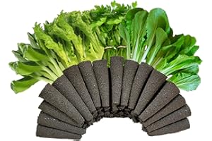 Haovegfloer 30 Pack Seed Starter Sponges Compatible with AeroGarden Pods, Plant Grow Sponges for Hydroponics Indoor Growing System & Garden