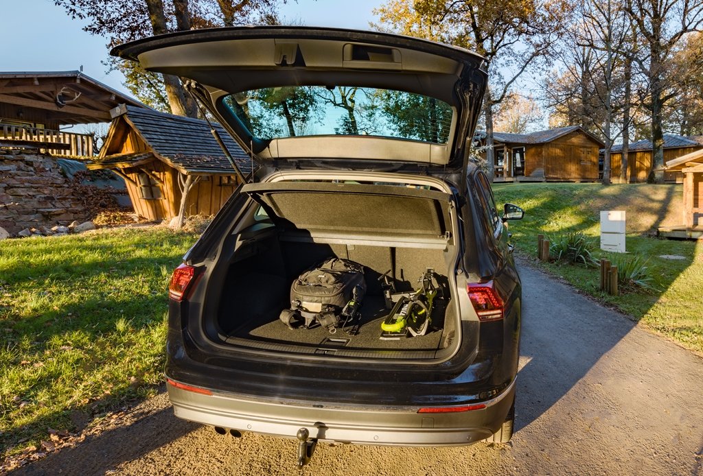 buzz rack buzzwing 1