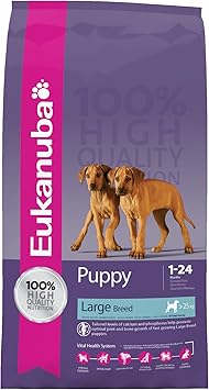eukanuba junior large breed