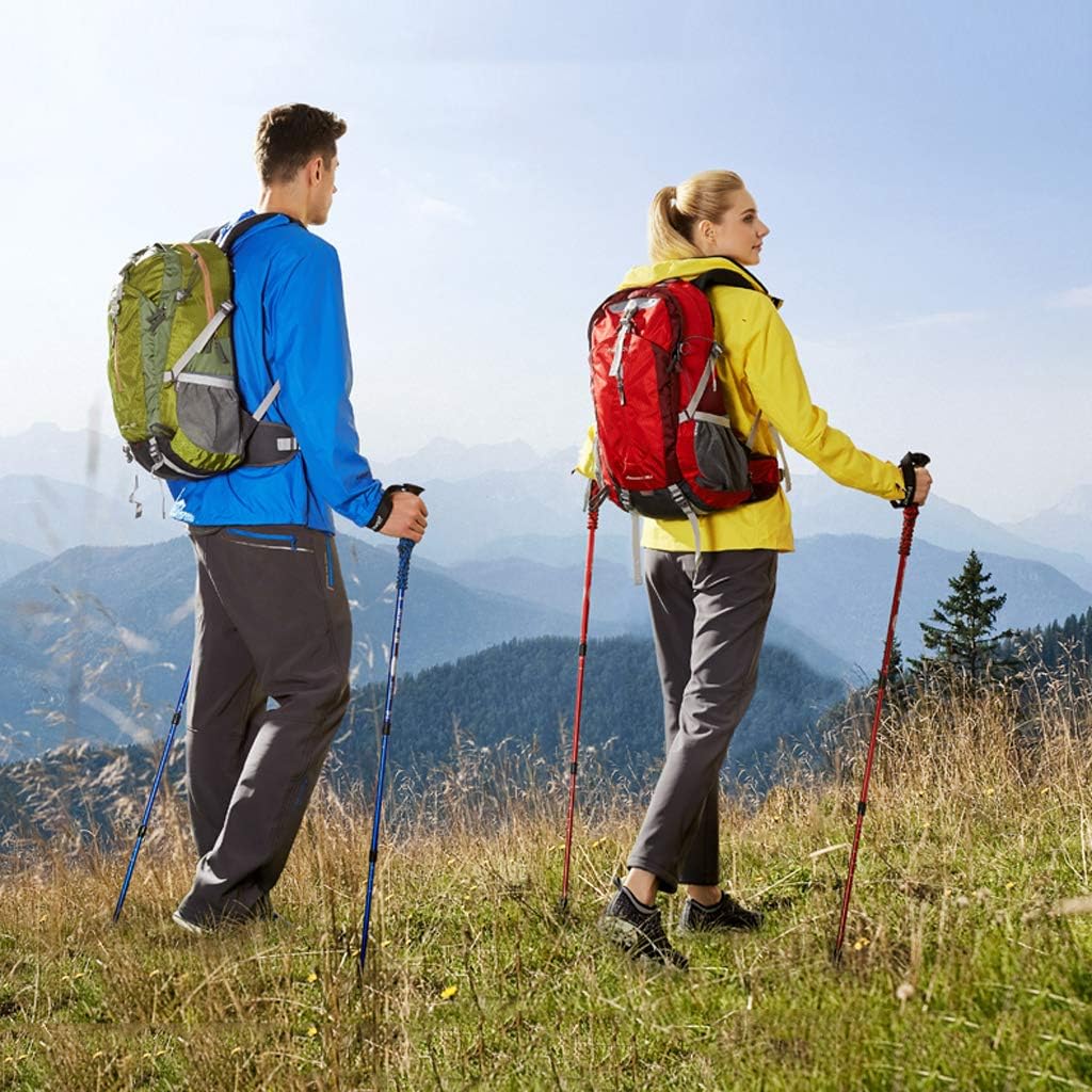 mountain warehouse walking poles