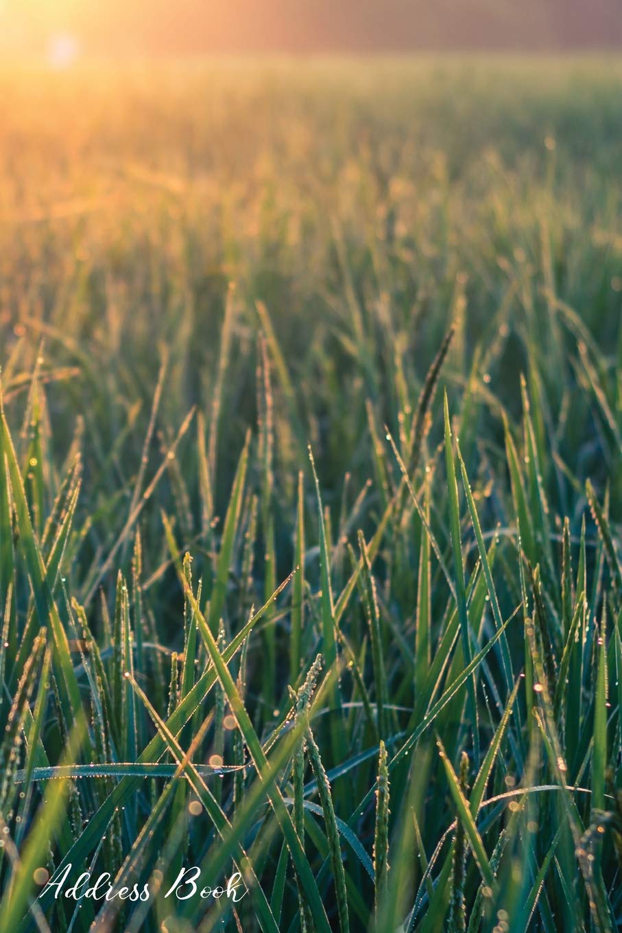 Address Book: For Contacts, Addresses, Phone, Email, Note,Emergency Contacts,Alphabetical Index With Morning Sunshine Lush Green Fields Background