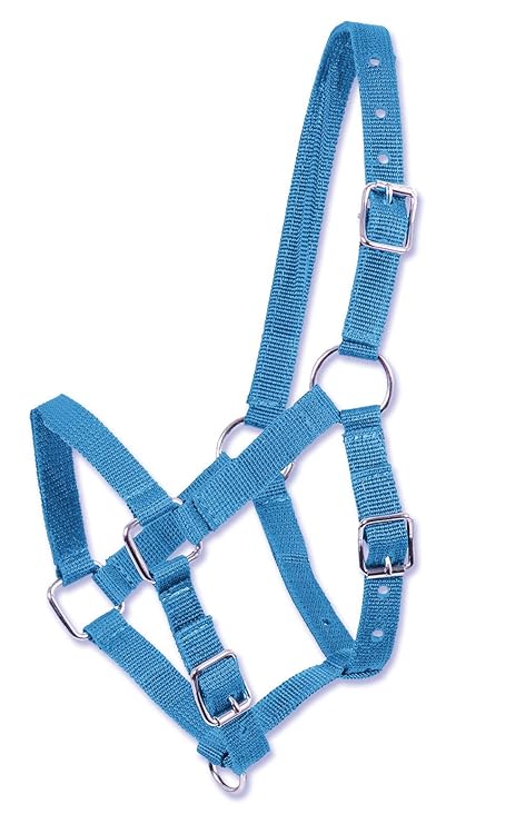Amesbichler Fohlenhalfter BLAU, Halfter für Minishetty, Fohlen, Holzpferd | Fohlenhalfter Shetty Halfter Nylon