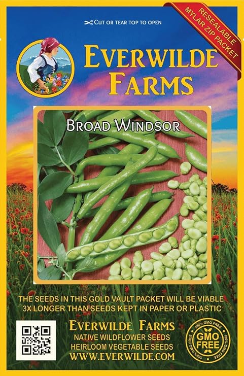 Fava Broad Windsor Seeds On Sale Islas Garden Seeds Top Selling Popular Choice Non Gmo Organic Survival Seeds Premium Heirloom Seeds Highest Quality Plants Seeds Bulbs Vegetables Horeto Com