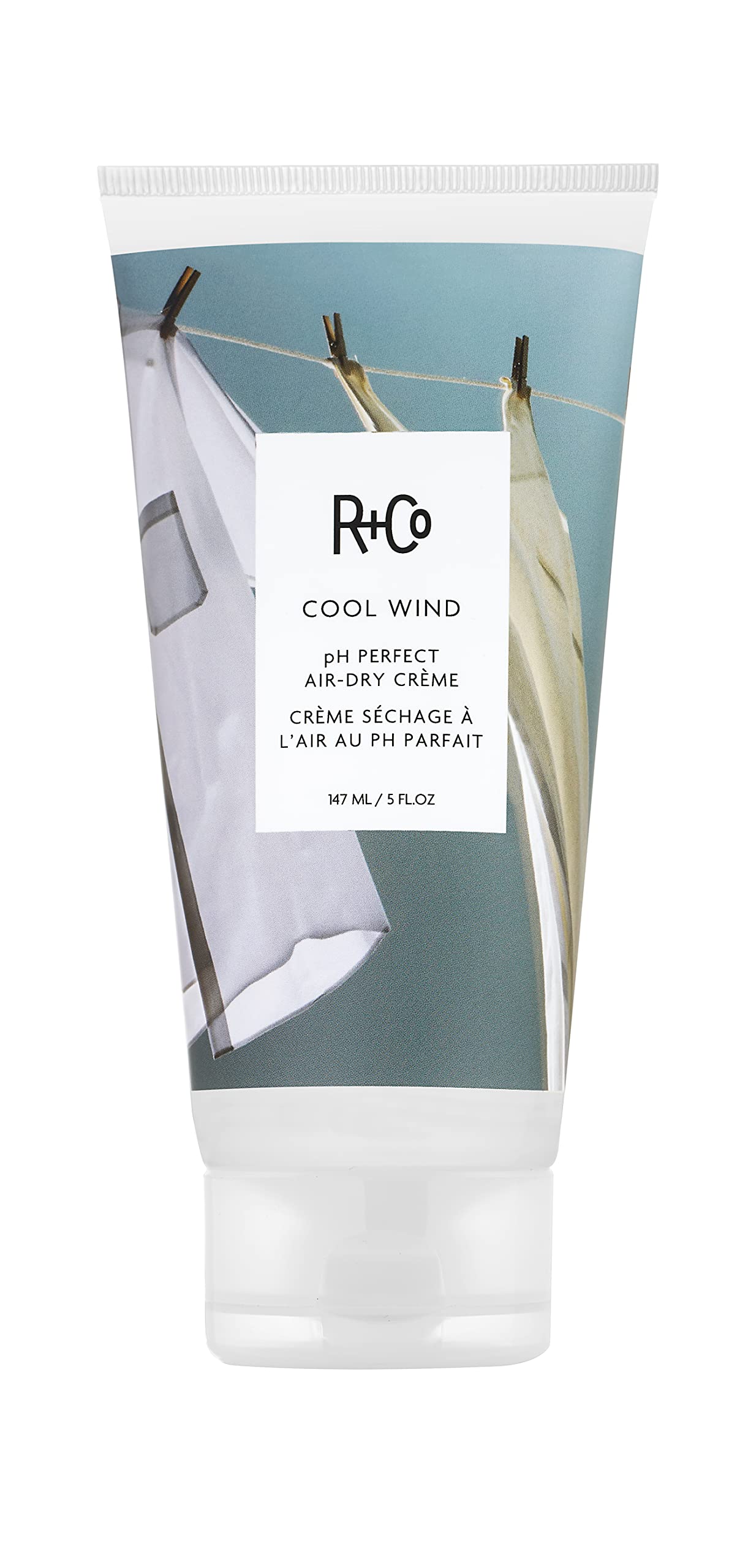 Photo 1 of R+Co Cool Wind pH Perfect Air Dry Hair Cream (5 Oz) | Hydrates + Tames + Softens | Vegan + Cruelty-Free |