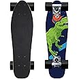 KO-ON Skateboard Complete Skateboards 22 Inch Mini Cruiser Skateboards for Beginners Kids Boys and Girls
