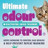 Dirtbusters Pet Pro Artificial Grass Cleaner 1L Urine Odour Neutraliser view 5