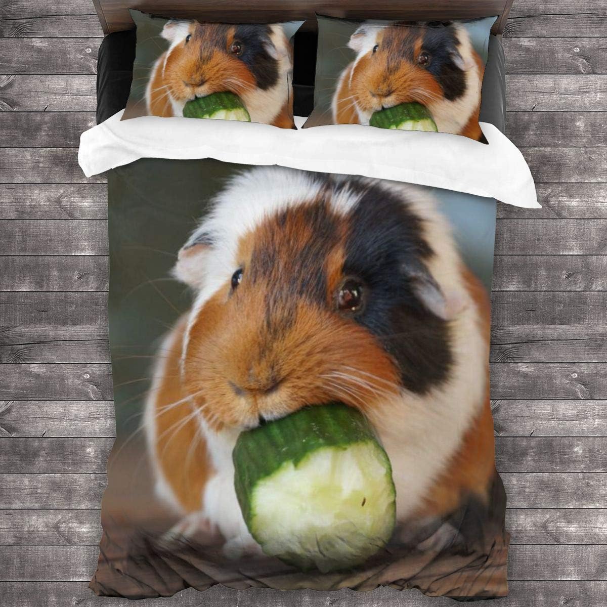 guinea pig eating bedding