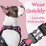 rabbitgoo Dog Harness Medium Front Back Clips Reflective Rose Pink M view 4