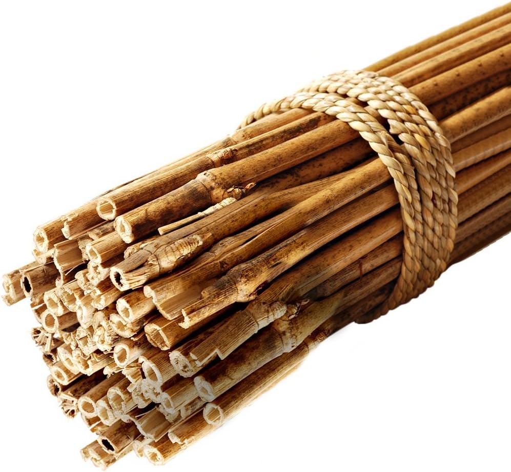 GroundMaster Garden Bamboo Canes Quality Strong Sturdy Plant Support Poles (250, 8ft/2.4m (Dia - 18/20mm))