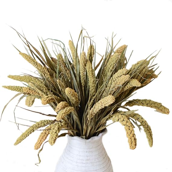 Buy Fansport 24PCS Dried Flower Millet Flower Natural Creative Party