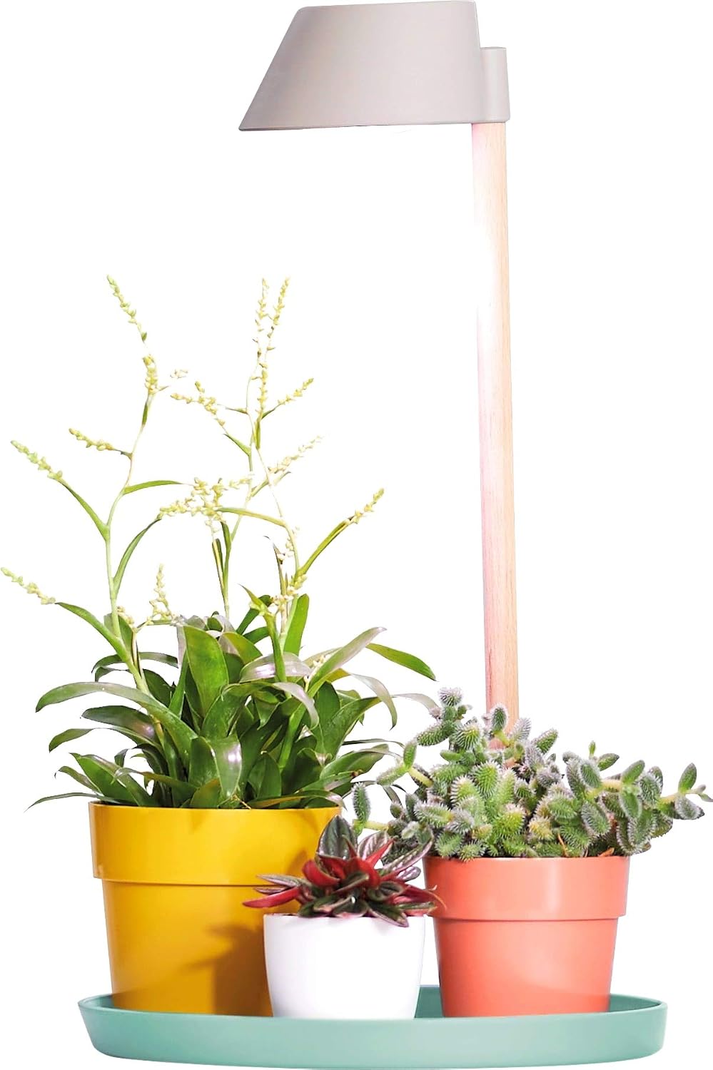 elho Plant Light Care 25 - Accessory for Indoor & Grow your Own - diameter 27.0 x H 7.5 cm - Grey/Glacier Grey