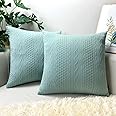 Booque Valley Throw Pillow Covers, Pack of 2 Super Soft Elegant Modern Spring Light Green Cushion Covers Decorative Stretchy Pillow Cases for Sofa Bed Car Chair, 18 x 18 inch(Seafoam)