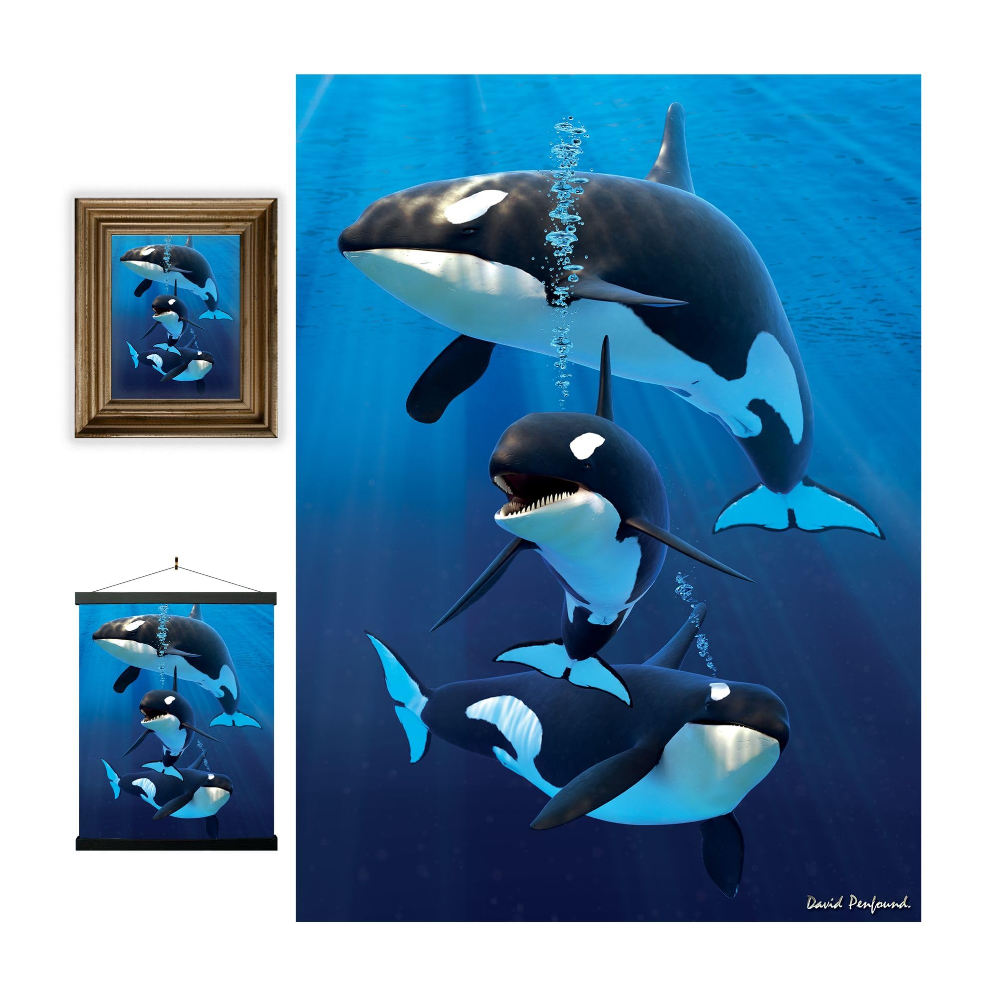 3D LiveLife Lenticular Wall Art Prints - Orcas from Deluxebase. Unframed 3D Whale Poster. A perfect wall filler. Original artwork licensed from renowned artist, David Penfound โ image 1