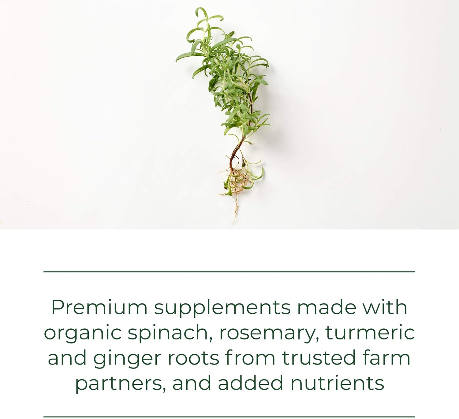 MegaFood, Selenium, Supports Optimal Health, Mineral Supplement Vegan, 60 Tablets (60 Servings): Health & Personal Care